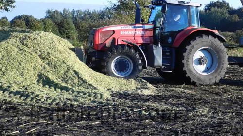 Massey Ferguson 8290 recensioni e scheda tecnica